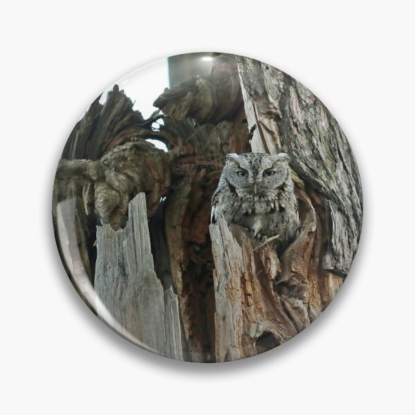 Item preview, Father screech owl  designed and sold by locustgirl.