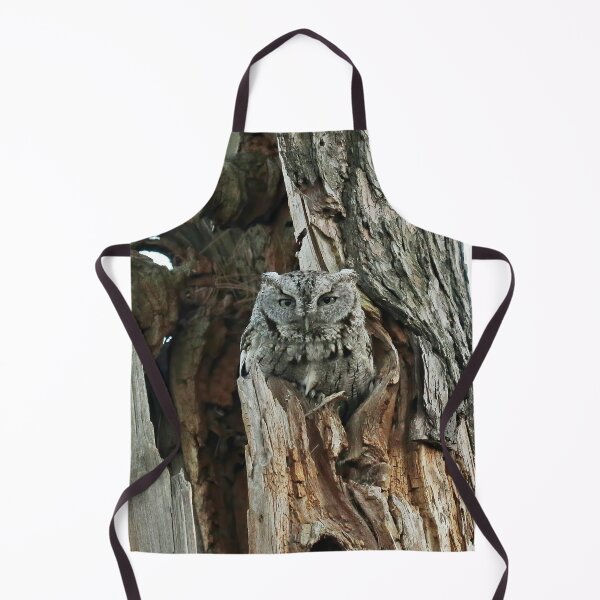 Item preview, Father screech owl designed and sold by locustgirl.