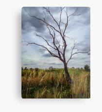 Dead Tree Metal Print