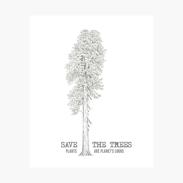 Item preview, Redwood Forest | Redwood Tree | Plant a Tree For Charity - Tree Planting Project designed and sold by SW Longwave.
