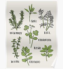 Herb Poster