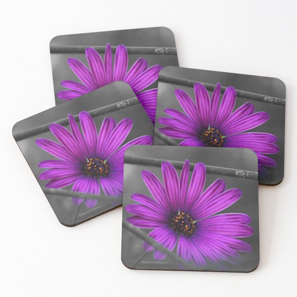 Item preview, Vivid Purple Daisy designed and sold by tchnclrdydrm.