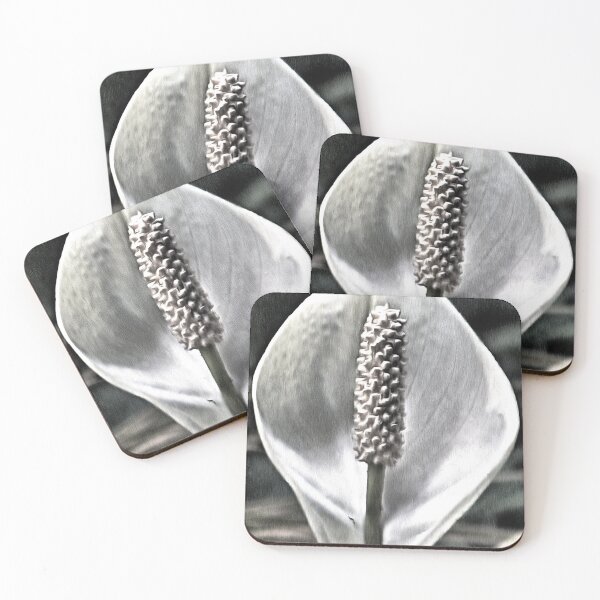 Item preview, A beautiful Peace Lily designed and sold by ashishagarwal74.