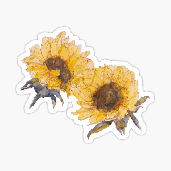 Watercolor Sunflowers Sticker