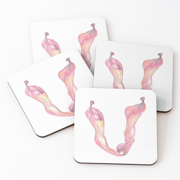 Item preview, Heliamphora ionasi designed and sold by nikolaisnotes.