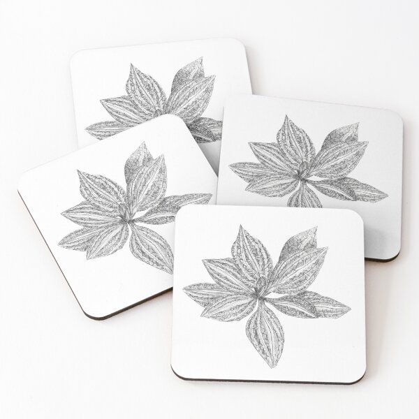 Item preview, Downy Rattlesnake Plantain, Goodyera pubescens  designed and sold by nikolaisnotes.