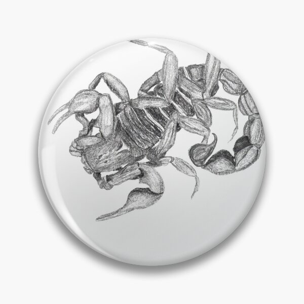 Item preview, Cape Thicktail Scorpion, Parabuthus capensis designed and sold by nikolaisnotes.