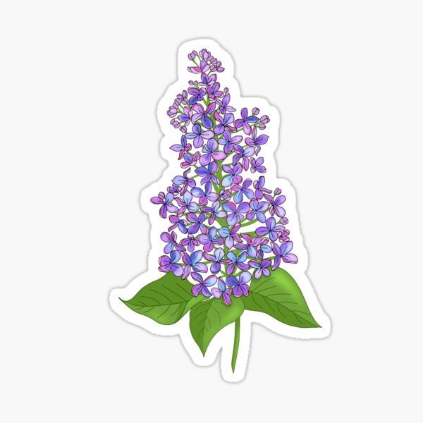 Pretty Purple Lilac Flower Sticker for Sale by WPhotographyW