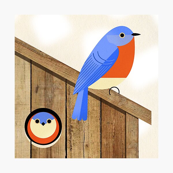 Item preview, blue bird house designed and sold by Scott Partridge.