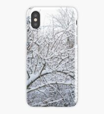 Winter scene iPhone Case