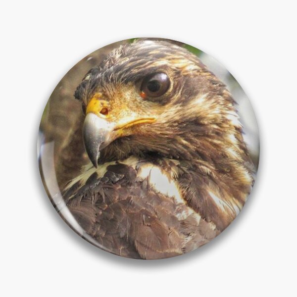 Item preview, Birds Eye View  designed and sold by JMVisuals28.