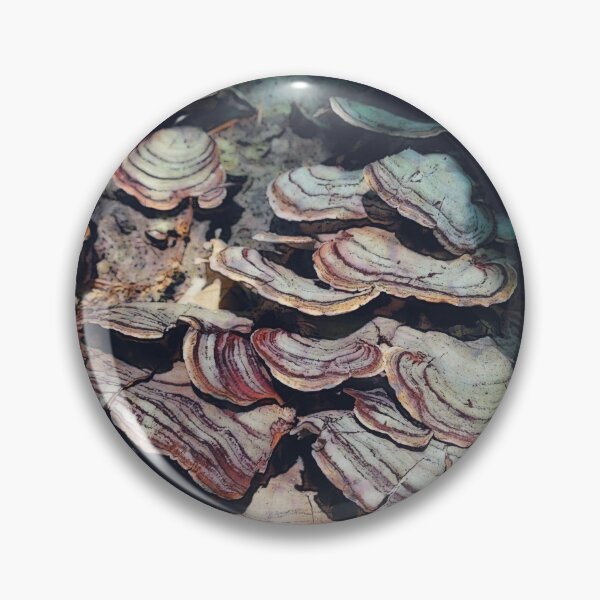 Item preview, Tree Conks designed and sold by Ollivrosa.