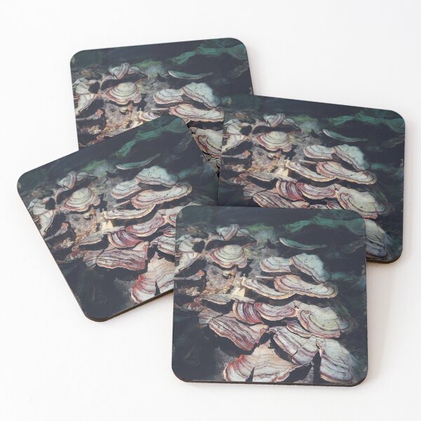 Item preview, Tree Conks designed and sold by Ollivrosa.