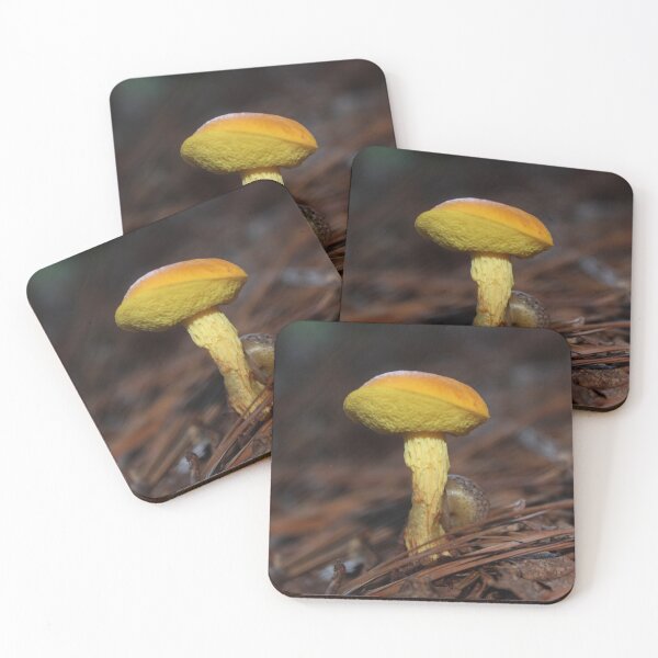 Item preview, Snail climbing mushroom designed and sold by aprilann.
