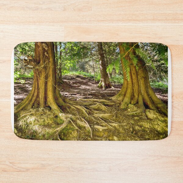 Item preview, Forest in Blaencwm. designed and sold by leebee101.