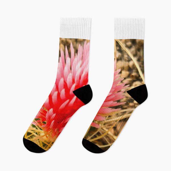 Item preview, Desert Cactus Flower designed and sold by Samsdesignshop.