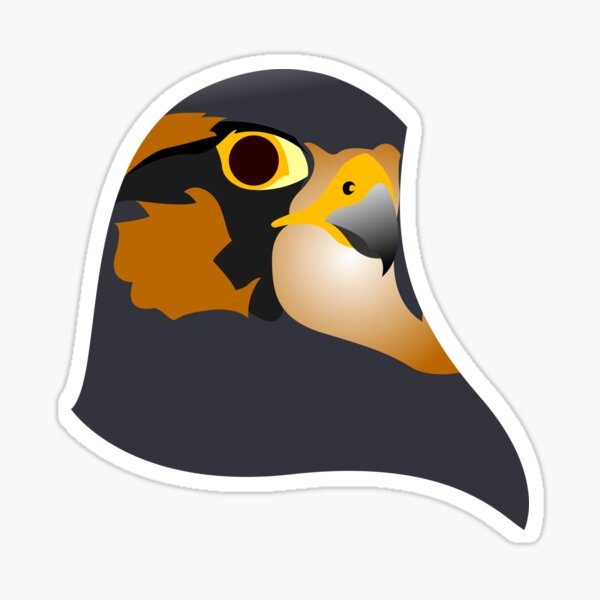 Aplomado Falcon Sticker