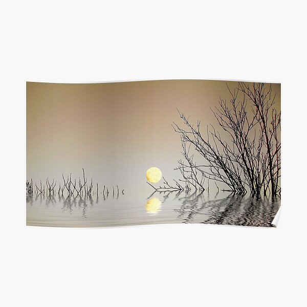 A Moon on the Water Poster