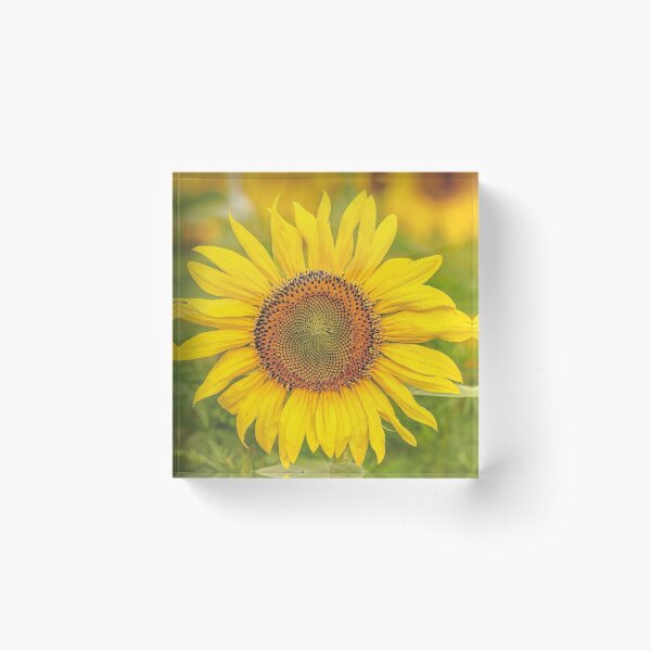 Item preview, How Dewy You Dew Sunflower designed and sold by ReflectPhoto.