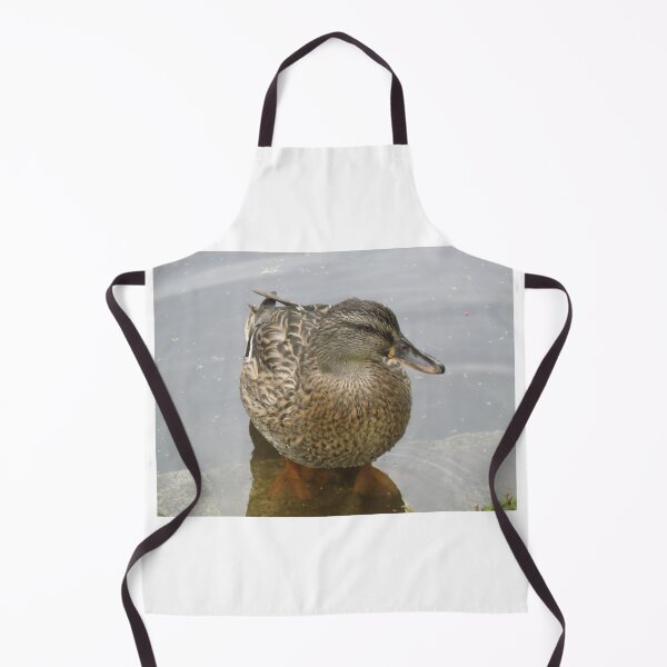Item preview, Female Mallard Duck in Shallow Water Photograph designed and sold by naturegallery.