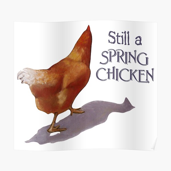 Still a Spring Chicken, Artwork of Walking Hen, Humor Still a Spring Chicken, Artwork of Walking Hen, Humor