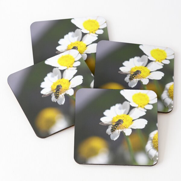 Item preview, Hoverfly on daisies designed and sold by GreyFeatherPhot.