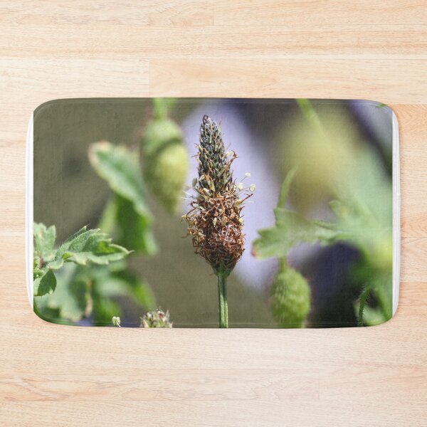 Item preview, Plantain flower designed and sold by GreyFeatherPhot.