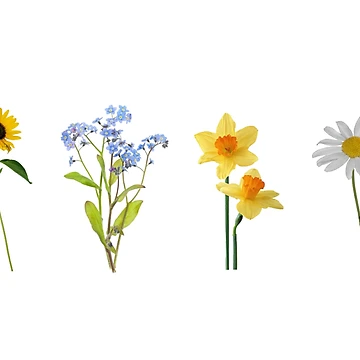 Vorschaubild zum Design Blumenpackung von httpsgm