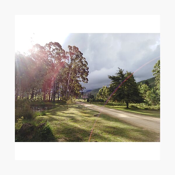 Item preview, Somewhere in Africa. Where does the road lead to? designed and sold by Sonatablue.