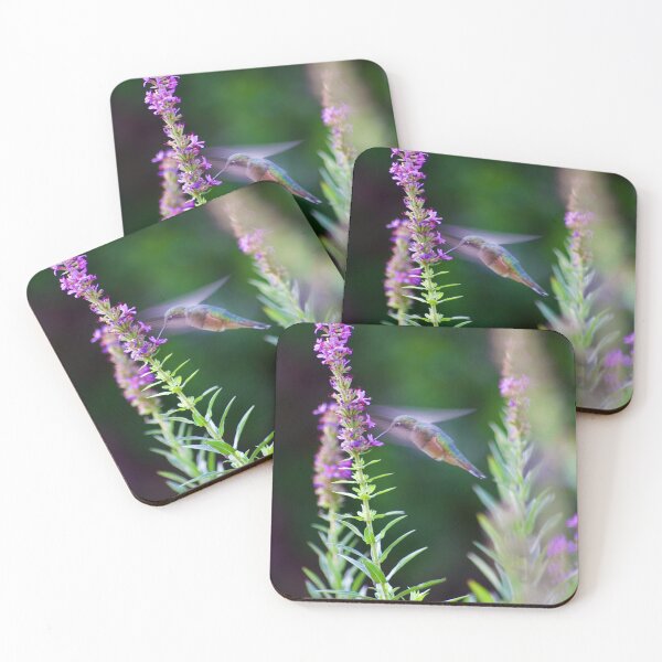 Item preview, Hummingbird designed and sold by scottmarla.