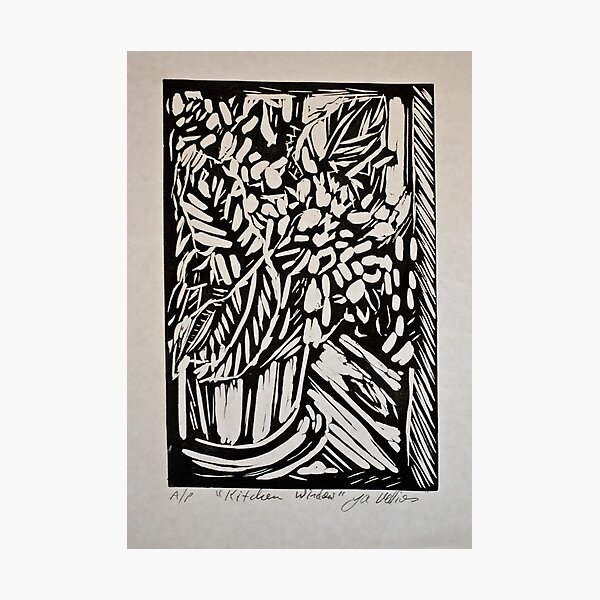 Kitchen Window Photographic Print