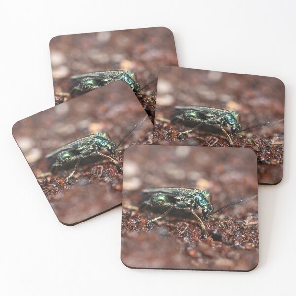 Item preview, Thick legged flower beetle designed and sold by GreyFeatherPhot.