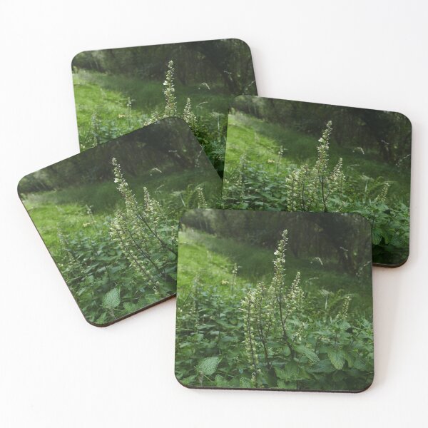 Item preview, Wood Sage (Teucrium scorodonia) designed and sold by IOMWildFlowers.