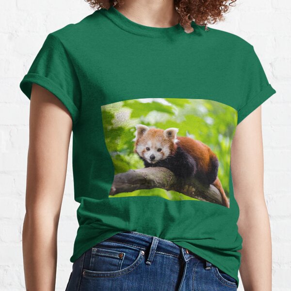 Womens Red Panda T Shirts Redbubble - red panda gang head quarters roblox