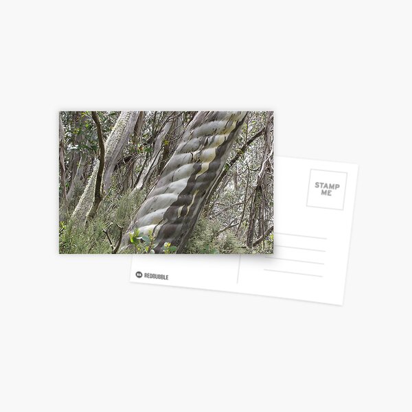 Australian Alpine Treasures, Thredbo NSW Postcard