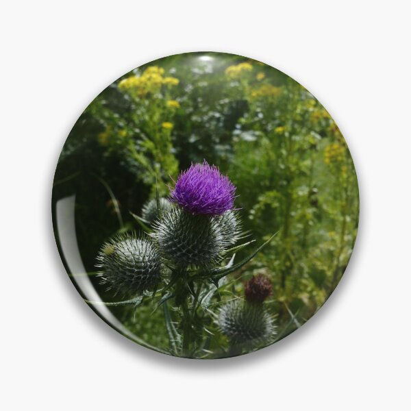 Item preview, Spear Thistle (Cirsium vulgare) designed and sold by IOMWildFlowers.