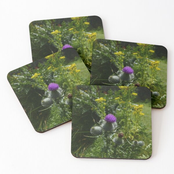 Item preview, Spear Thistle (Cirsium vulgare) designed and sold by IOMWildFlowers.