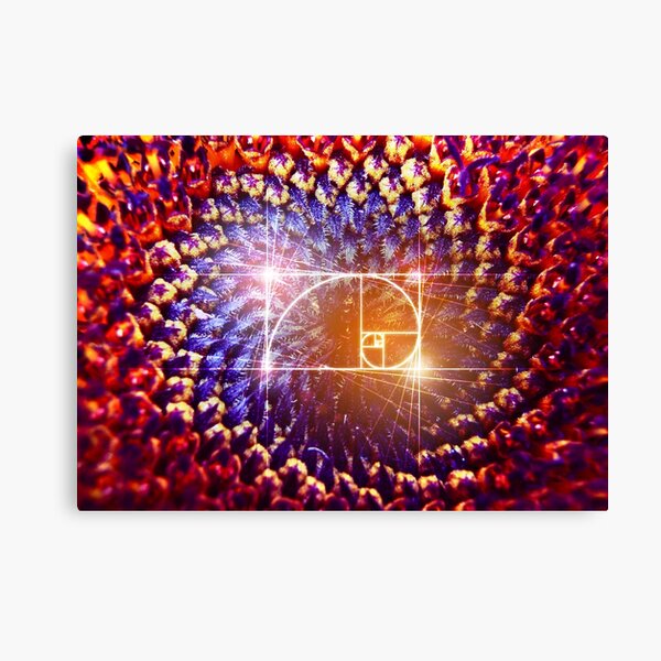 Blue Flower Blossom Stretched Canvas Print Framed Wall Art Decor Painting F110