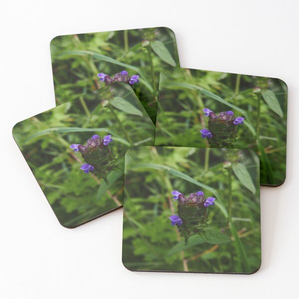 Item preview, Self-heal (Prunella vulgaris) designed and sold by IOMWildFlowers.