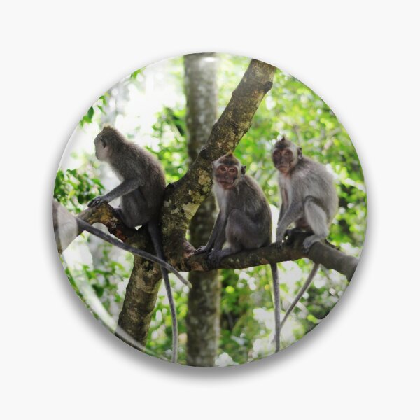 Item preview, Monkey Family designed and sold by Jane Ruttkayova.