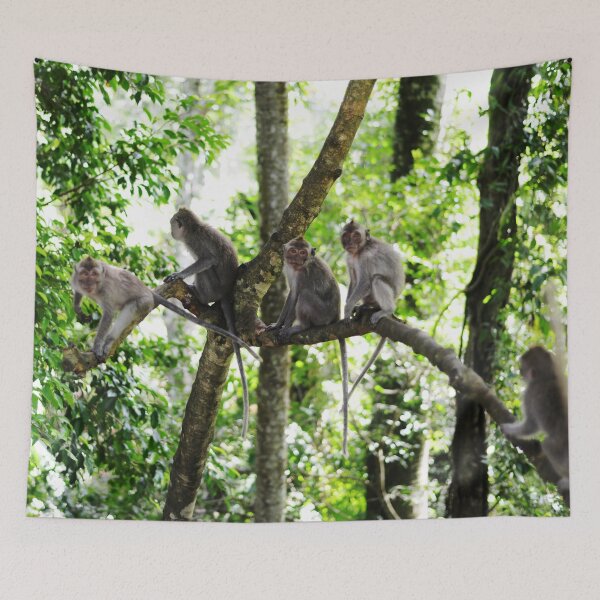 Item preview, Monkey Family designed and sold by Jane Ruttkayova.