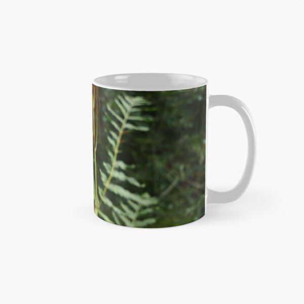 Item preview, Royal Fern (Osmunda regalis) designed and sold by IOMWildFlowers.