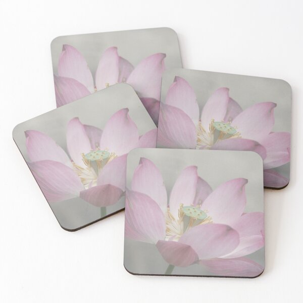 Item preview, Lotus designed and sold by Clemitt.