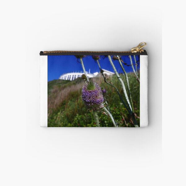 Item preview, Common Teasel (Dipsacus fullonum) designed and sold by IOMWildFlowers.