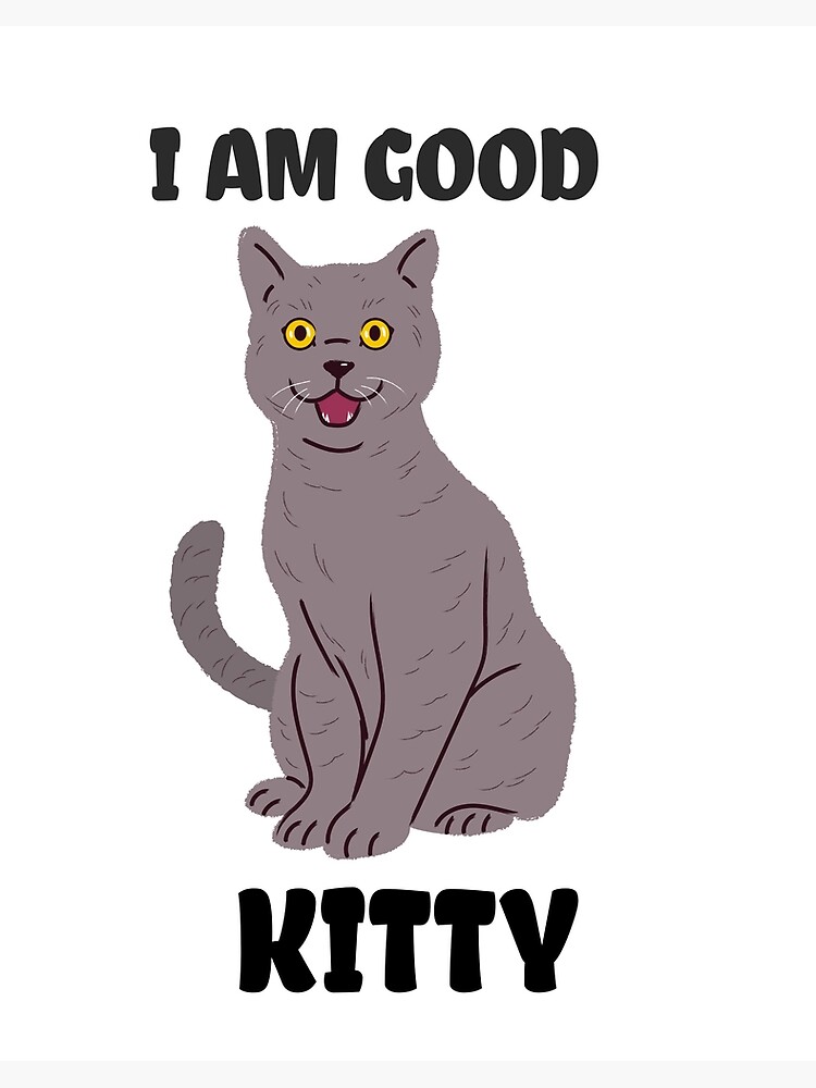 I am good kitty