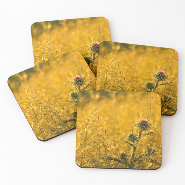 Item preview, Beauty in the Unbeautiful designed and sold by KTrott-Photos.
