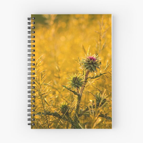 Item preview, Beauty in the Unbeautiful designed and sold by KTrott-Photos.