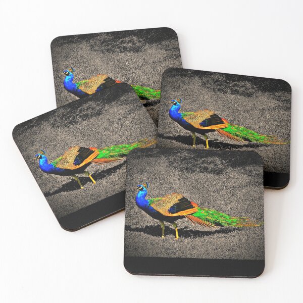 Artikelvorschau, Pfau posieren entworfen und verkauft von Vince Scaglione.