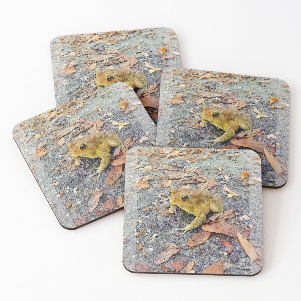 Item preview, Hello Toad designed and sold by Ollivrosa.