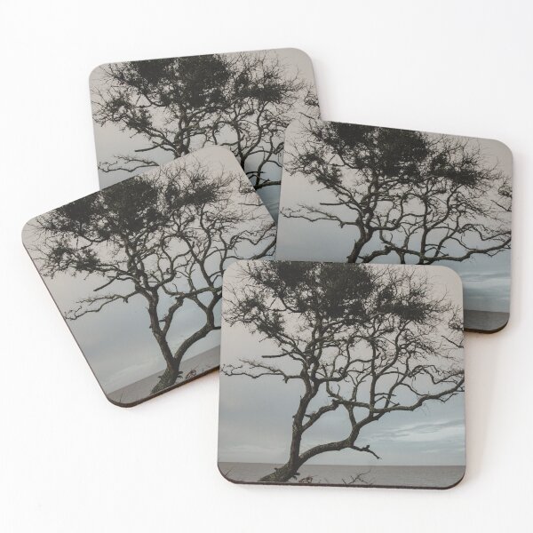 Item preview, Driftwood Beach Tree designed and sold by LindsayVTravels.